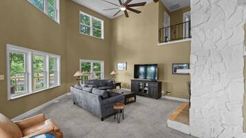 TV connectée, cheminée, jeux vidéo, lecteur de DVD