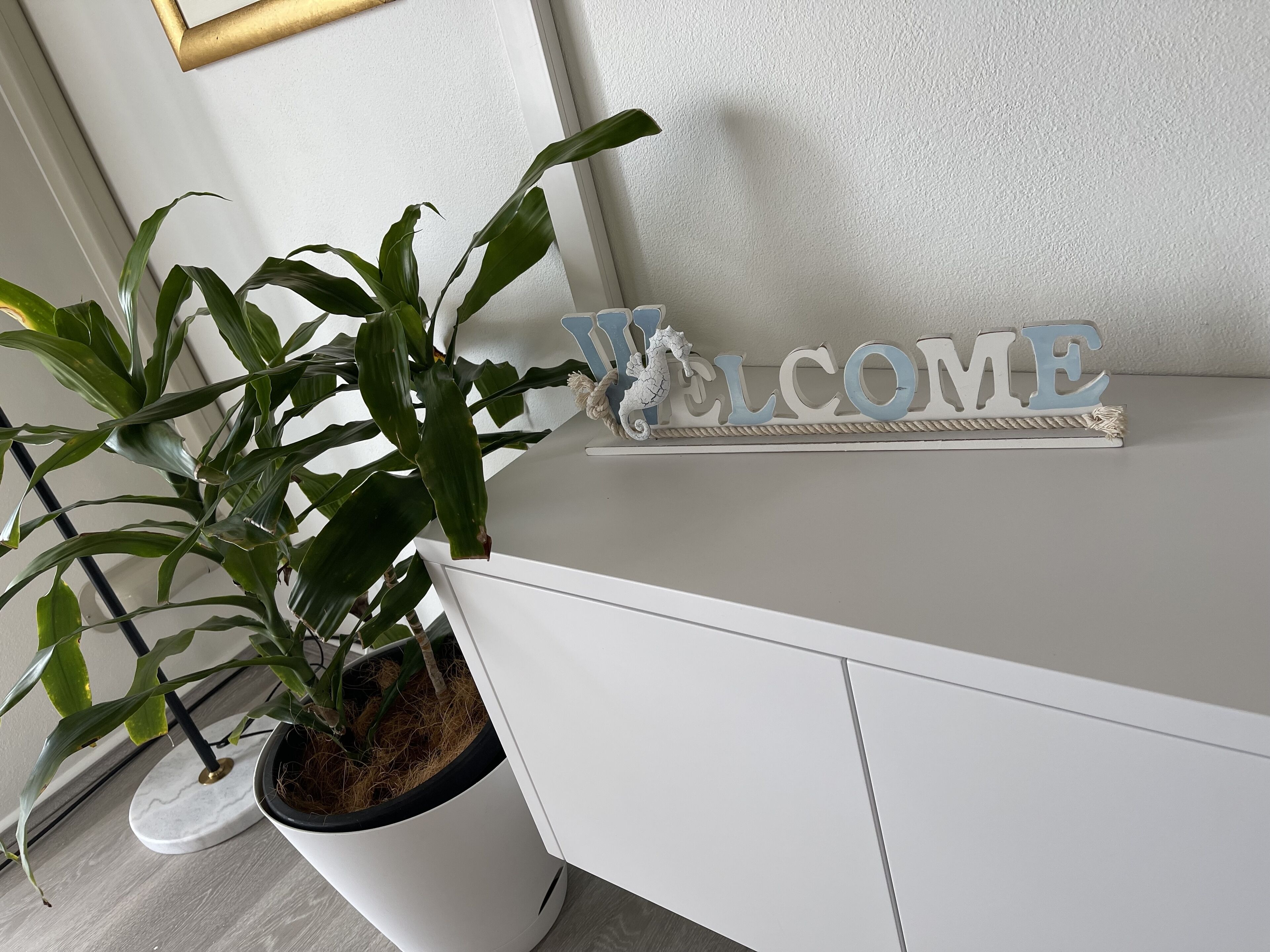 A white reception desk with a potted plant, a 'WELCOME' sign, and a decorative rope border.