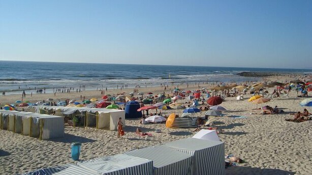 Une plage dotée de nombreux parasols et de chaises longues, ce qui indique la présence d’un espace d’hébergement situé en bord de mer.