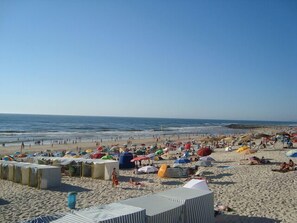 Une plage dotée de nombreux parasols et de chaises longues, ce qui indique la présence d’un espace d’hébergement situé en bord de mer.