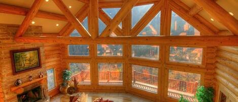 Télévision, cheminée, lecteur de DVD, chaîne hi-fi