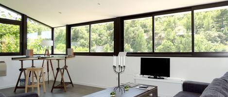 TV, books, music library, stereo