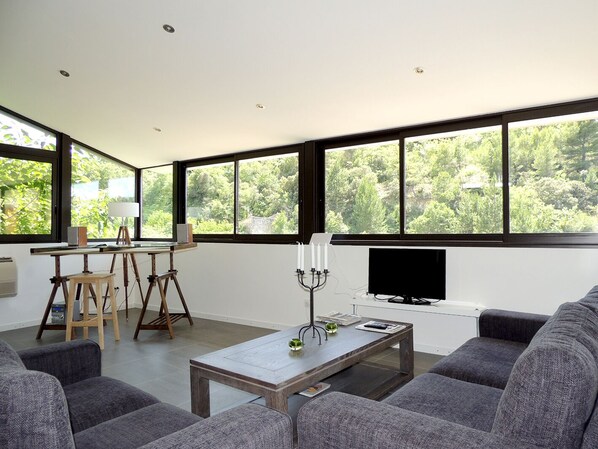 TV, books, music library, stereo