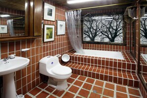 Duschwanne, Handtücher, Shampoo, Toilettenpapier