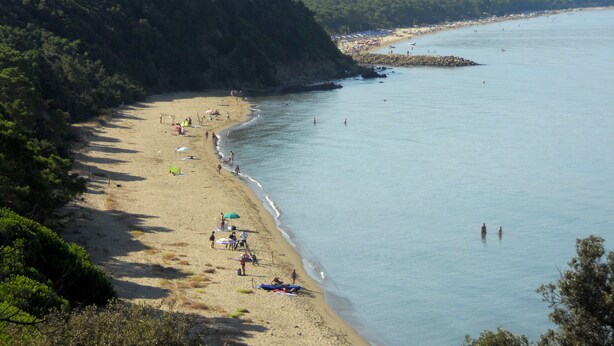 A beach with a rocky shoreline, clear water, and a forested hill in the background. - apartment 300 meters from the sea (Follonica)
