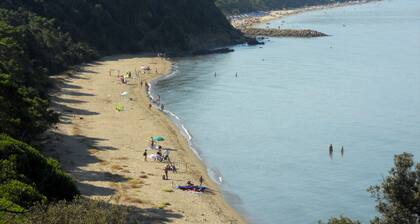 apartment 300 meters from the sea