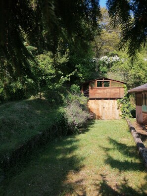 A wooden cabin with a sloped roof, surrounded by dense greenery and a grassy yard.