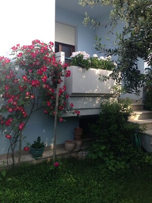 Exterior detail - THE HOUSE OF THE SEA (HOUSE OF THE SEA) (Fano)