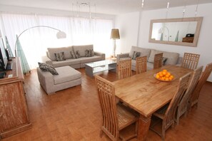 TV, fireplace, DVD player