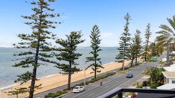 A coastal road with a beach on one side, lined with tall pine trees and a clear view of the sea.
