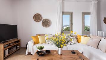 Smart TV, fireplace, DVD player, printers