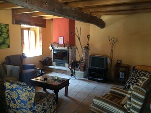 TV, fireplace, DVD player