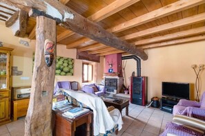 TV, fireplace, DVD player