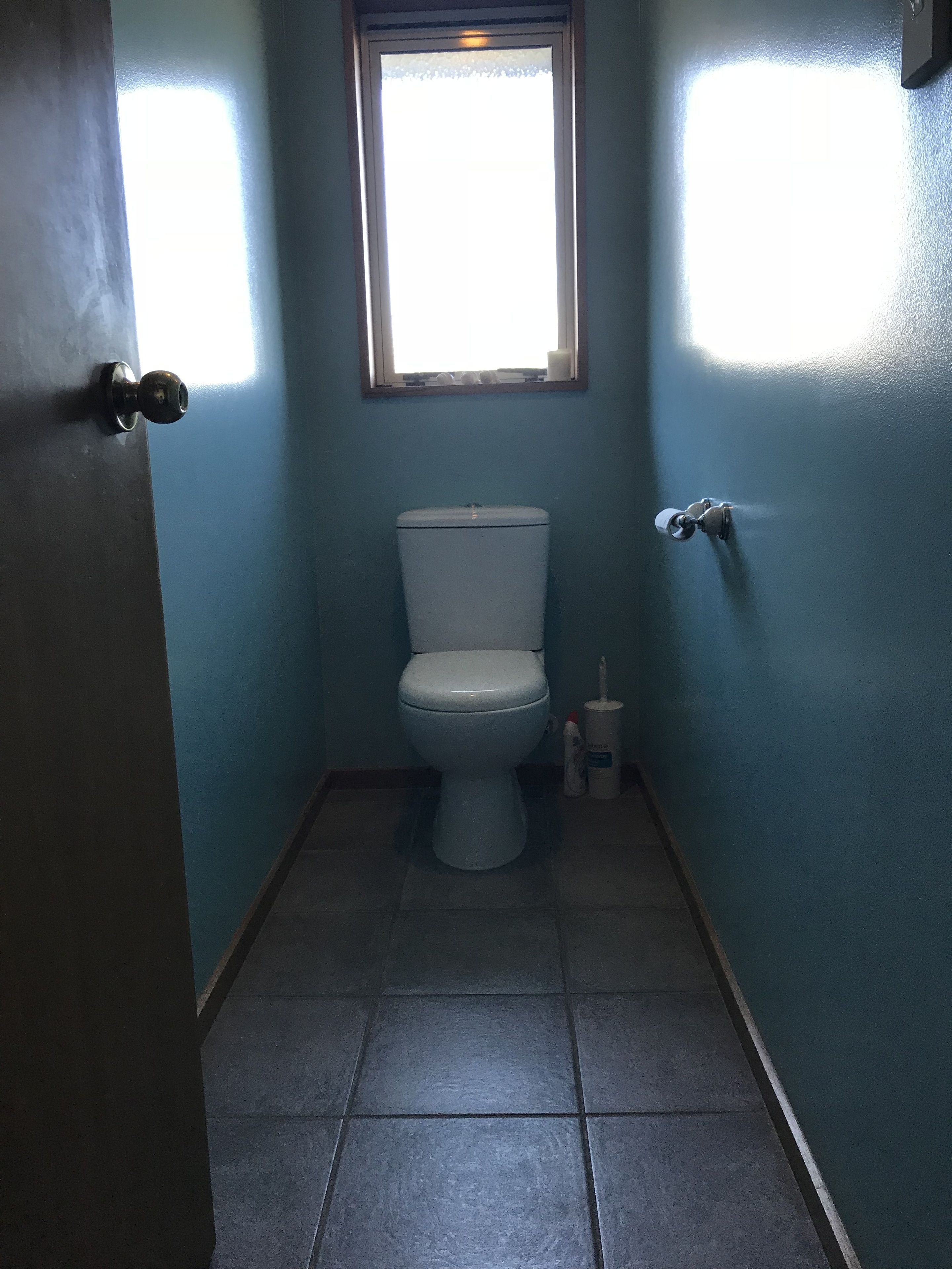 A small, narrow bathroom with a toilet, a window, and a door.