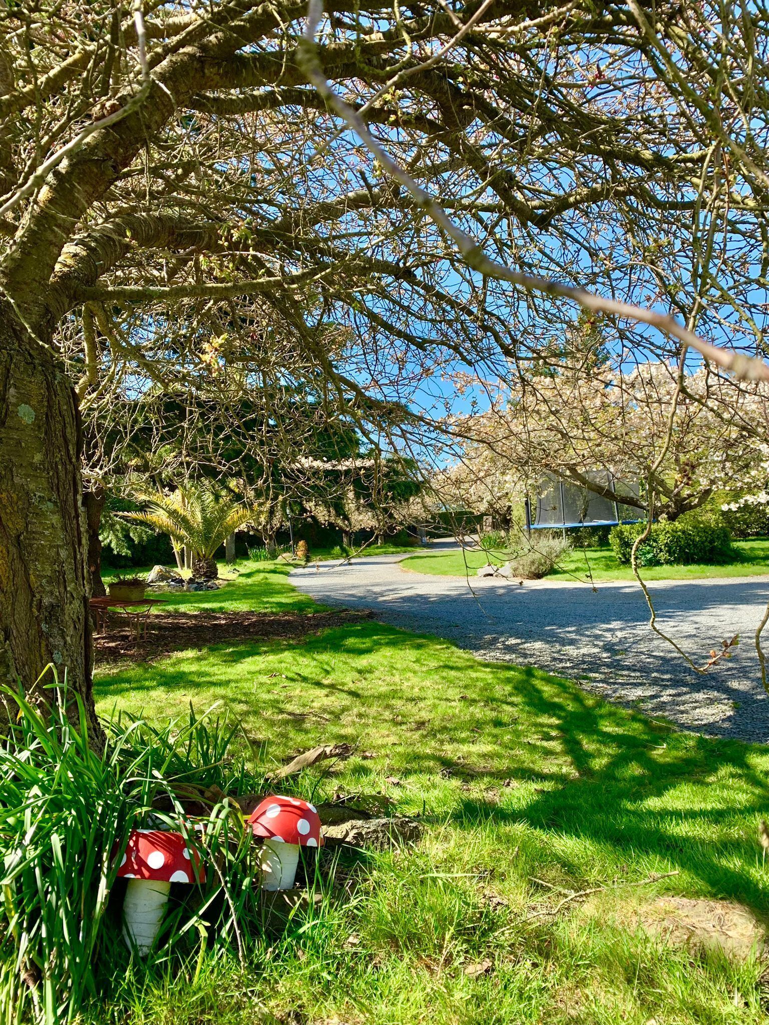 Un jardín bien cuidado con un sendero pavimentado, un árbol con un banco y una decoración con forma de hongo.