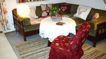 TV, fireplace, books