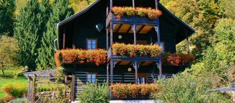 Apartment in Art Nouveau villa on Lake Ossiach with free access to the lake