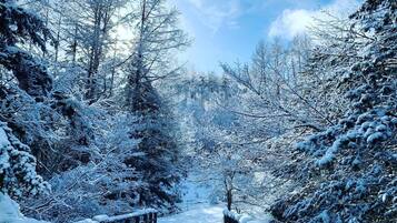 A snow-covered pathway flanked by trees and a wooden fence.