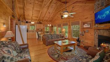 Smart-TV, peis og DVD-spiller