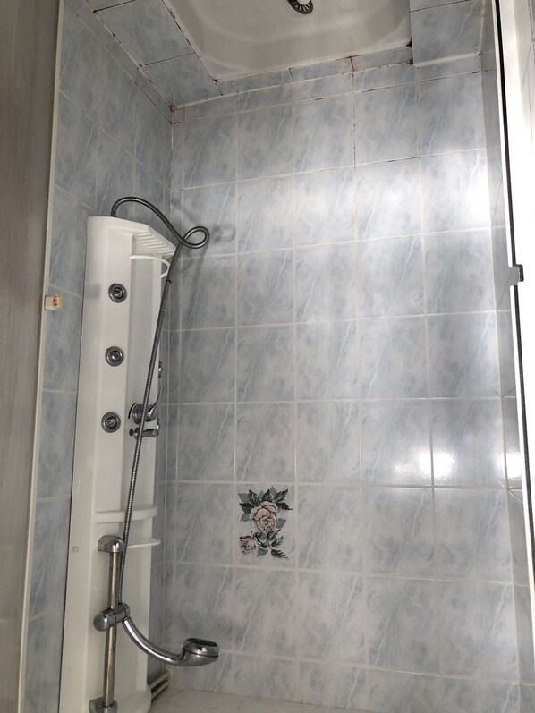 Ein Badezimmer mit Dusche, Handtuchhalter und einer dekorativen Fliese mit floralem Muster.