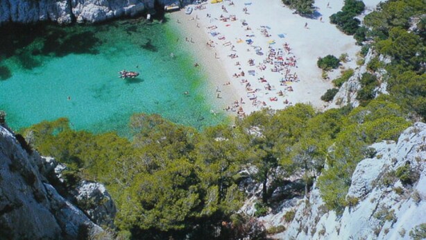 Vista aerea di una spiaggia con acque cristalline turchesi e una riva sabbiosa costeggiata da alberi.