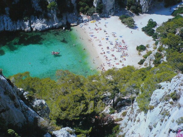 بالقرب من الشاطئ