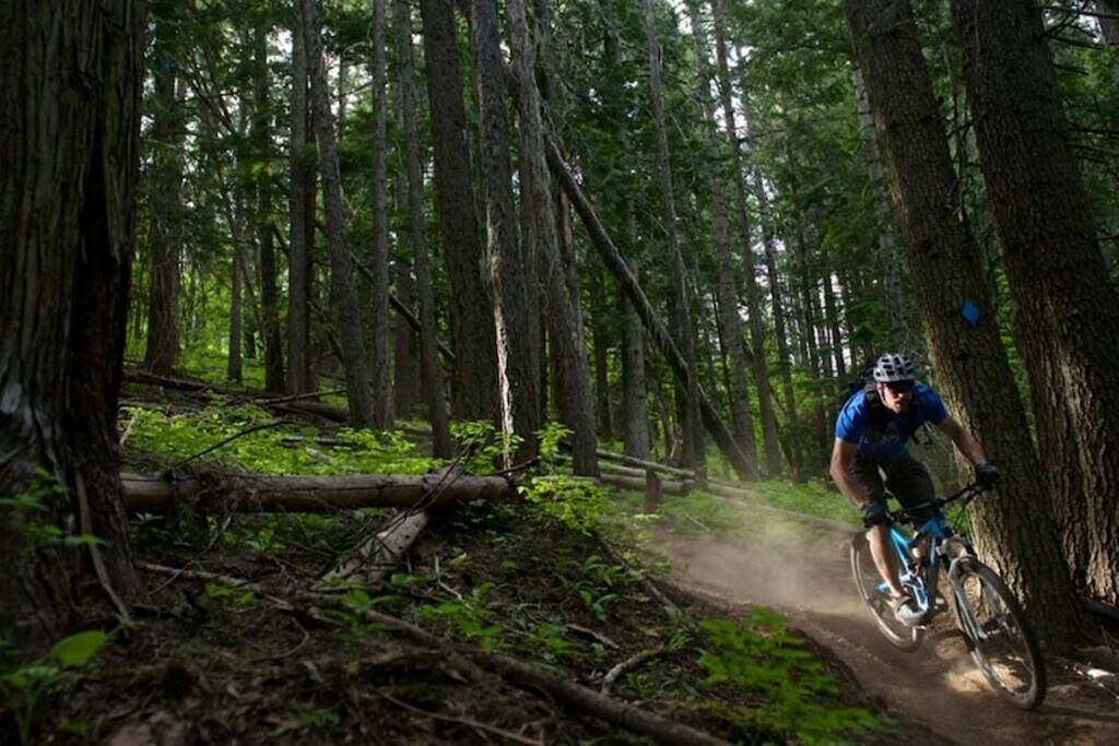 A mountain biker on a dirt trail surrounded by dense forest.