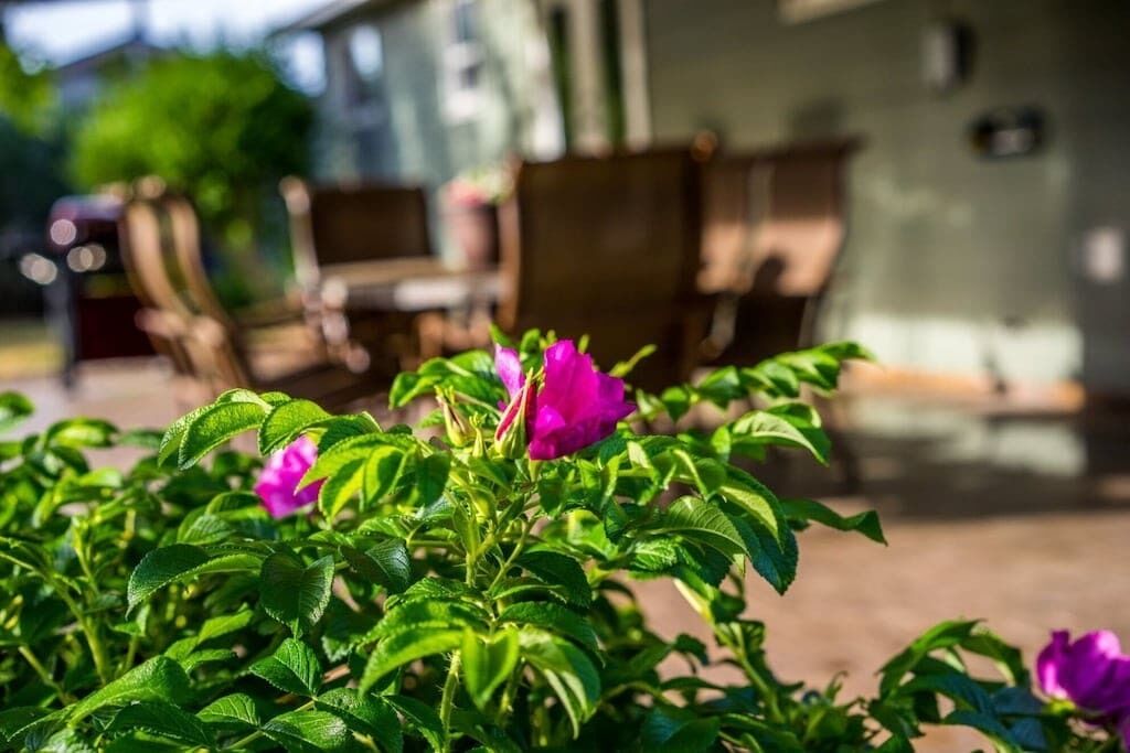 Songbird Cottage | HUGE Backyard | 15 Min To Downtown | Pet & Family Friendly | 5-Star Beds