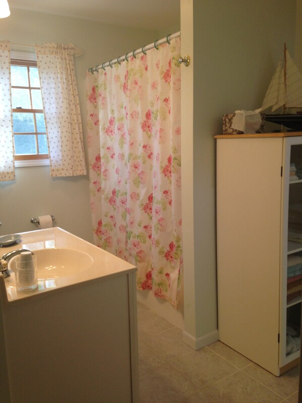 A bathroom with a sink, toilet paper, and a shower curtain. - Steinreich on BBI (Bois Blanc Island)