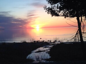 A sunset over a calm body of water with a tree silhouette on the right. - Steinreich on BBI (Bois Blanc Island)