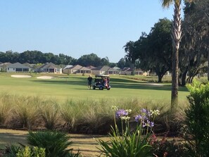 Golfe