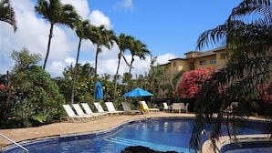 Piscina com espreguiçadeiras e guarda-sóis, rodeada por palmeiras e plantas tropicais.