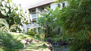 Um jardim exuberante com um pequeno riacho, cercado por plantas tropicais e um edifício branco com varandas.