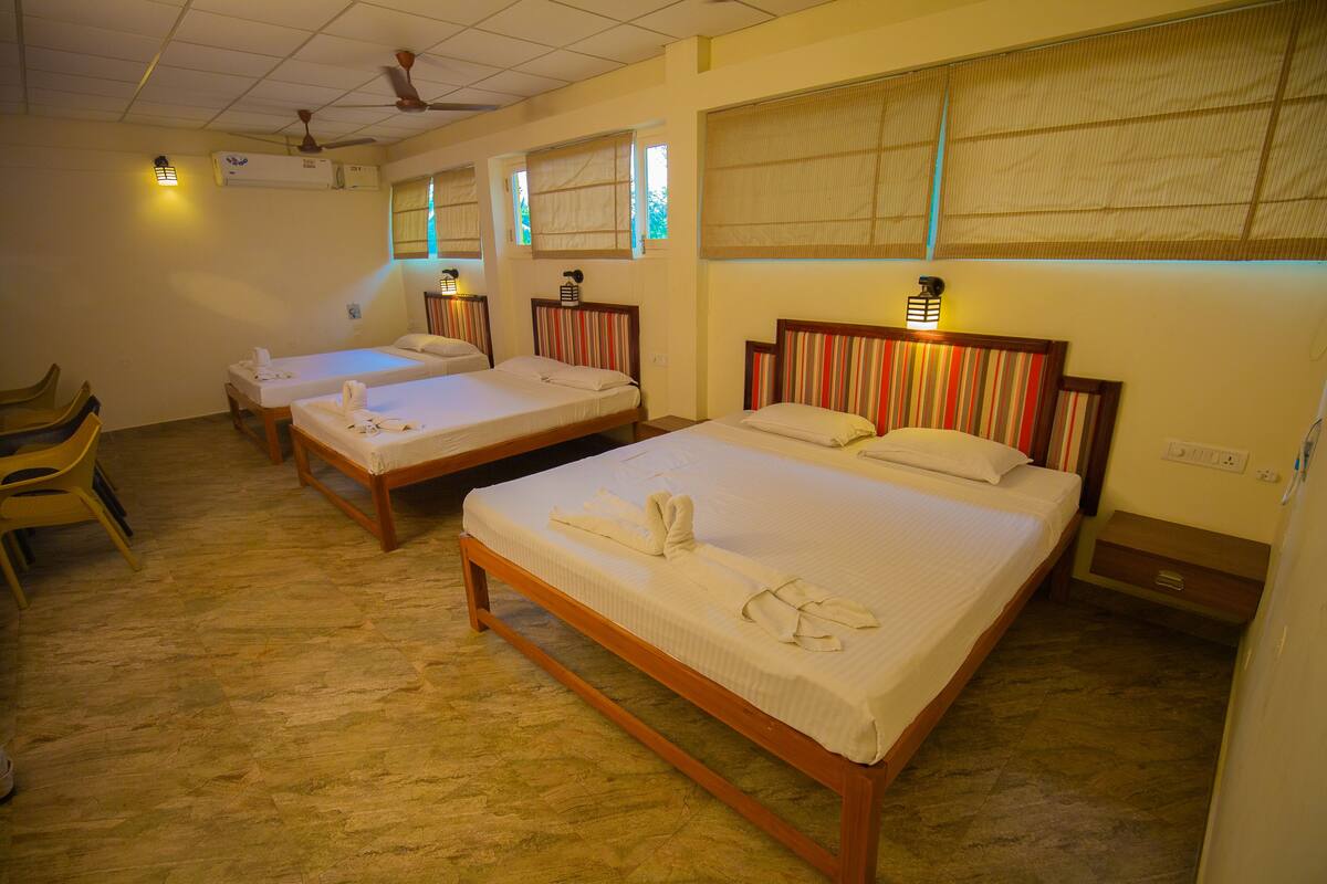 Family Room, Multiple Beds