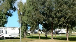 Eksteriør
