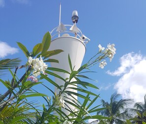A white cylindrical structure with a surveillance camera on top, surrounded by green foliage and white flowers. - La Parola Orchids Beach Resort (Patnongon)