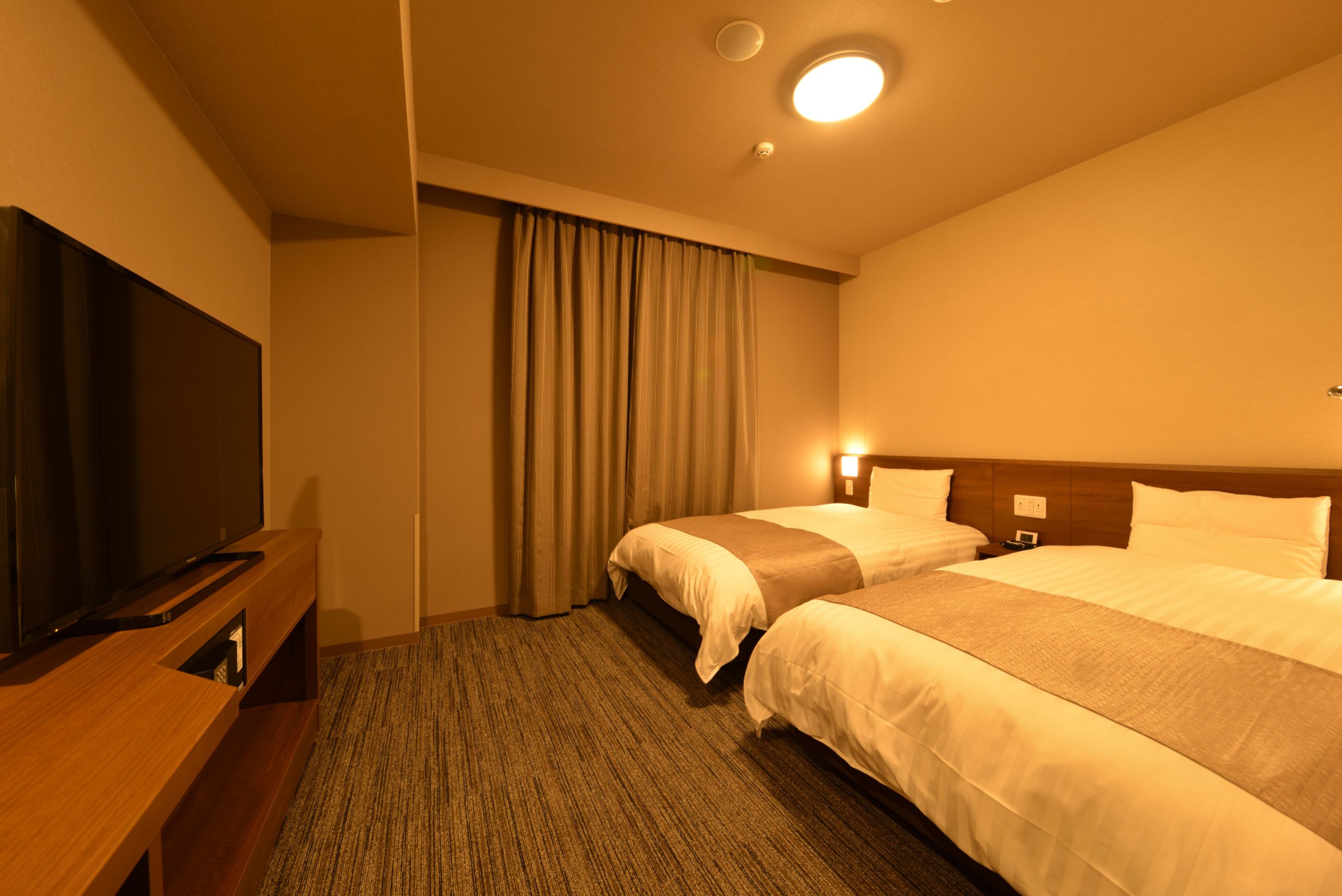 Habitación de hotel con dos camas, televisión, piso alfombrado y una lámpara en el techo.