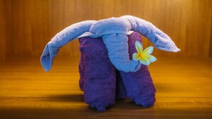 A plush toy with a flower accessory. - KAEN Apartments (Cemagi)