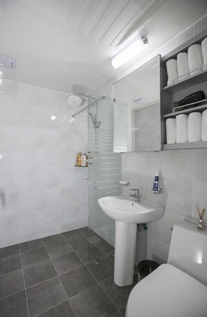 Regadera, amenidades de baño gratuitas, secadora de cabello, toallas 