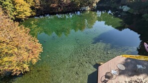 A clear view of a river with a wooden dock and chairs. - Beauty Spring and Harvest B and B (Puli)