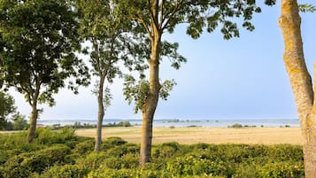 A landscape with trees and a view of the sea.