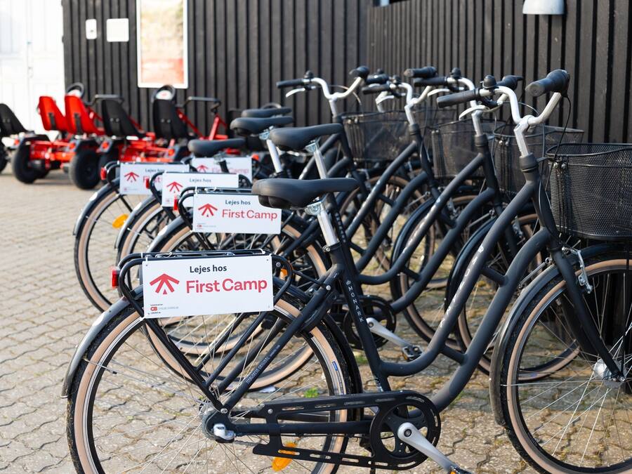 A row of bicycles with "Lejes hos First Camp" signs, parked on a cobblestone surface.
