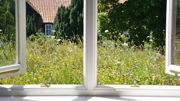 A window with a view of a garden with various flowers and a house with a tiled roof in the background.