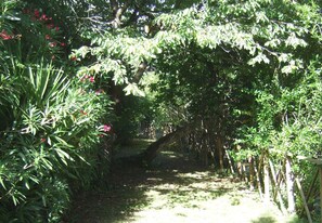 Garden - Agriturismo La Casa della Lavanda - Il Casale (Monte San Vito)
