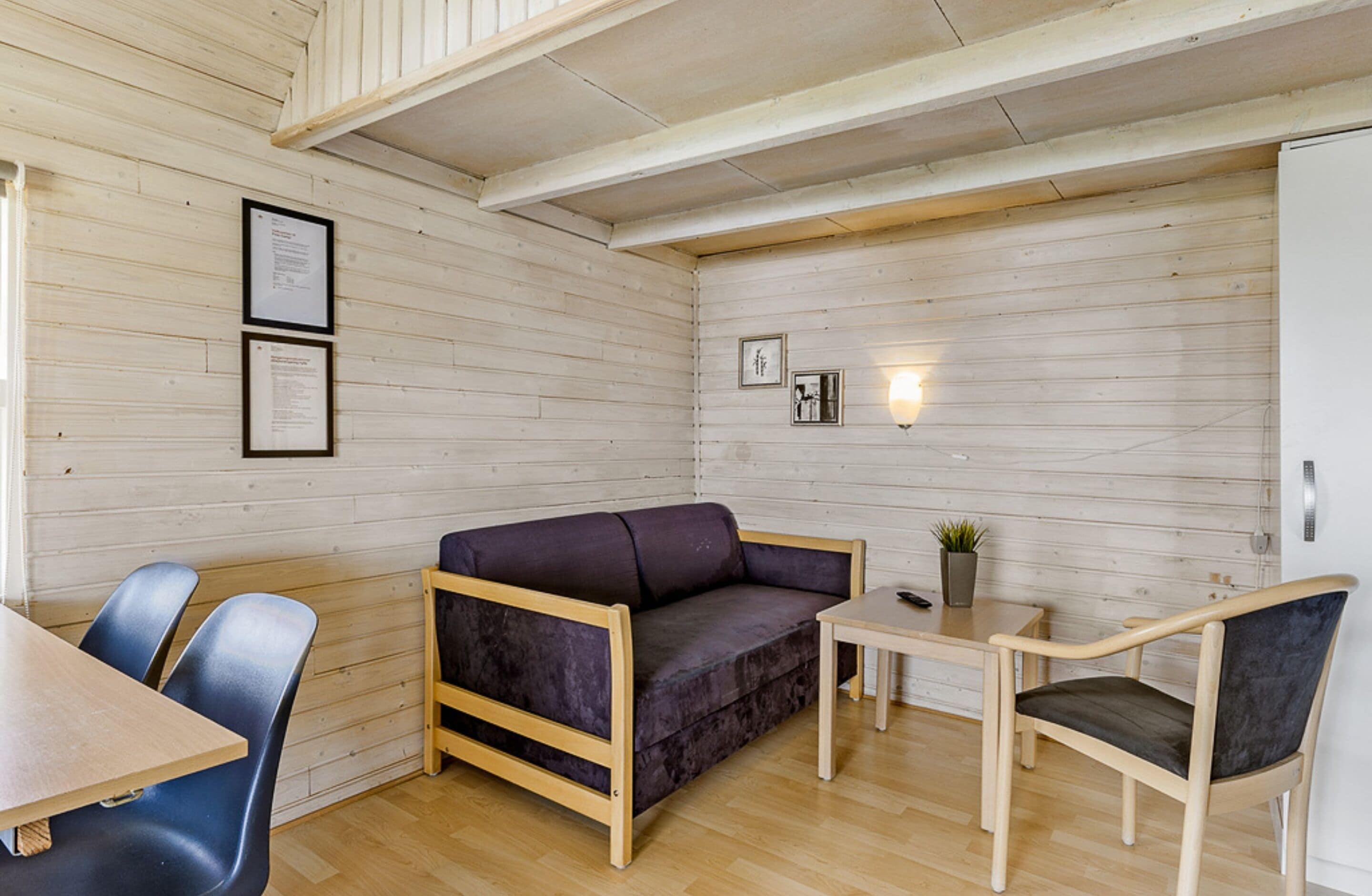 Une pièce avec un plancher en bois, un canapé violet, une petite table avec une plante et deux chaises.