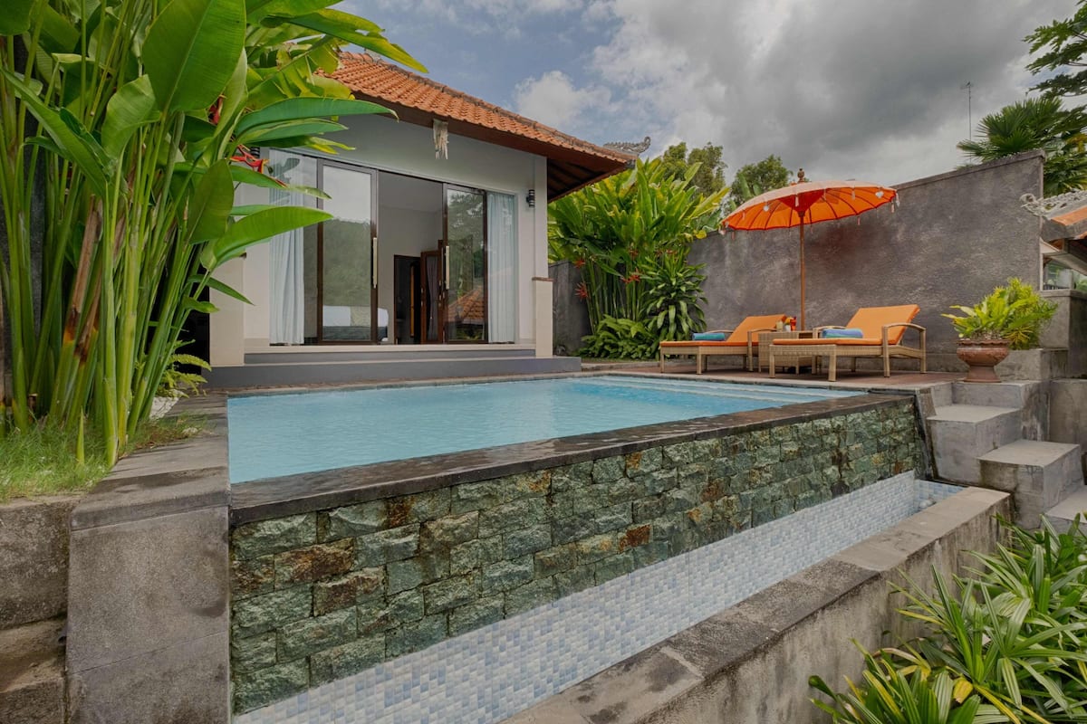 A modern house with a swimming pool, outdoor seating, and lush greenery.