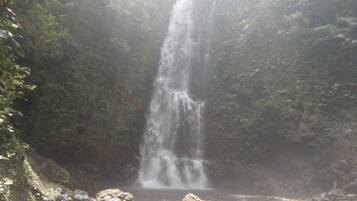 A waterfall surrounded by lush greenery.