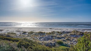 A beach with scattered debris and vegetation.