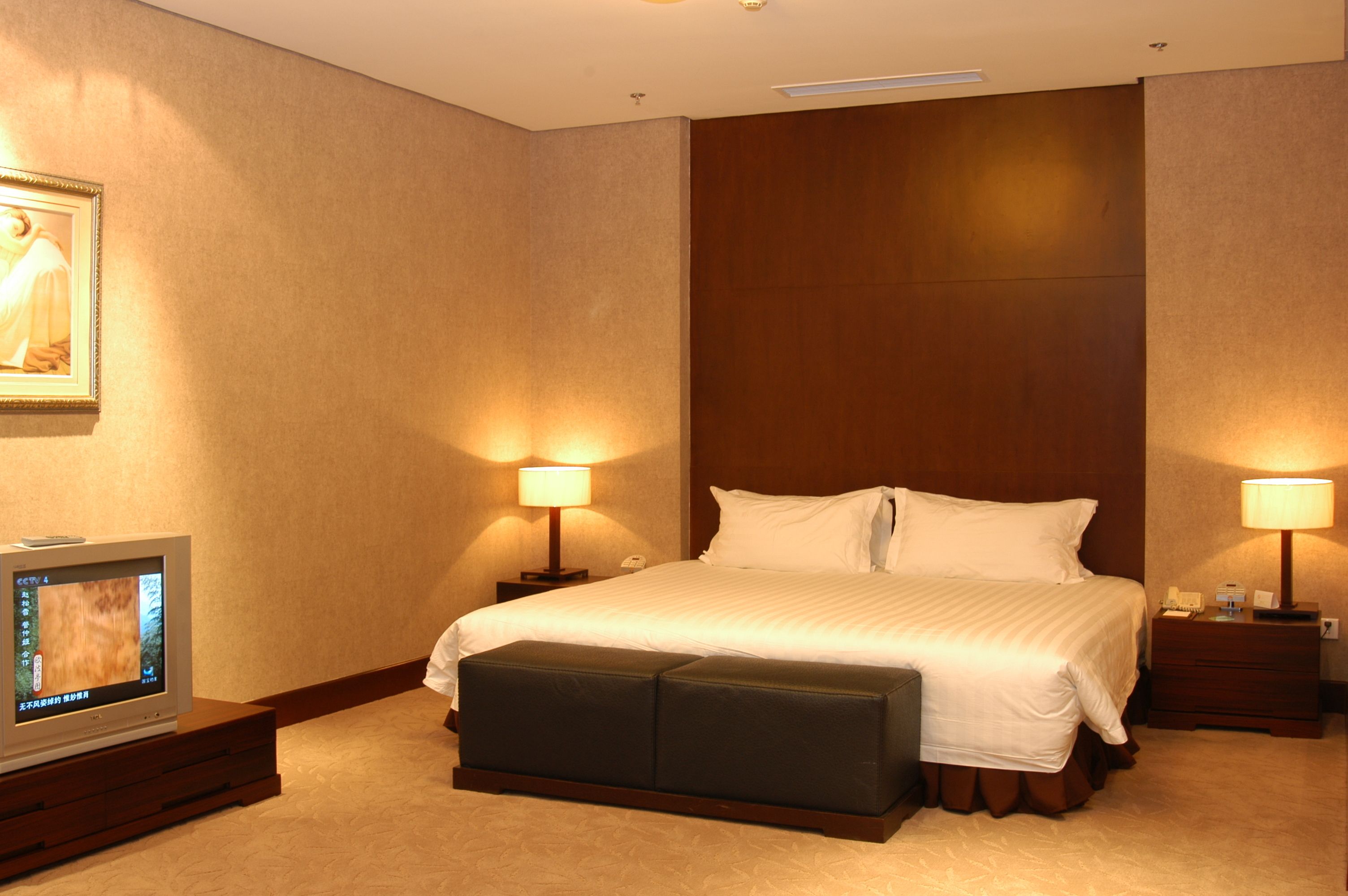 A hotel room with a large bed, two bedside tables with lamps, a television on a stand, and a framed picture on the wall.