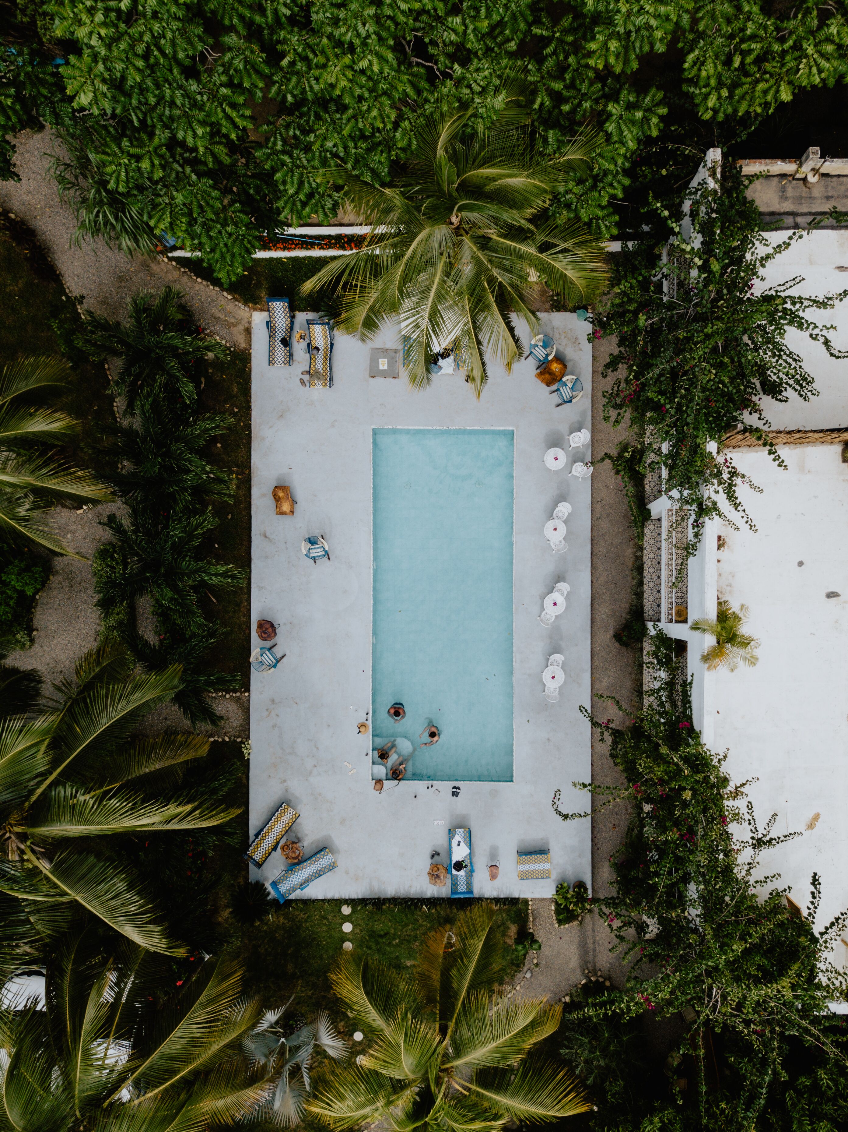 An aerial view of a rectangular swimming pool surrounded by lounge chairs and umbrellas, with palm trees and a white building in the background.